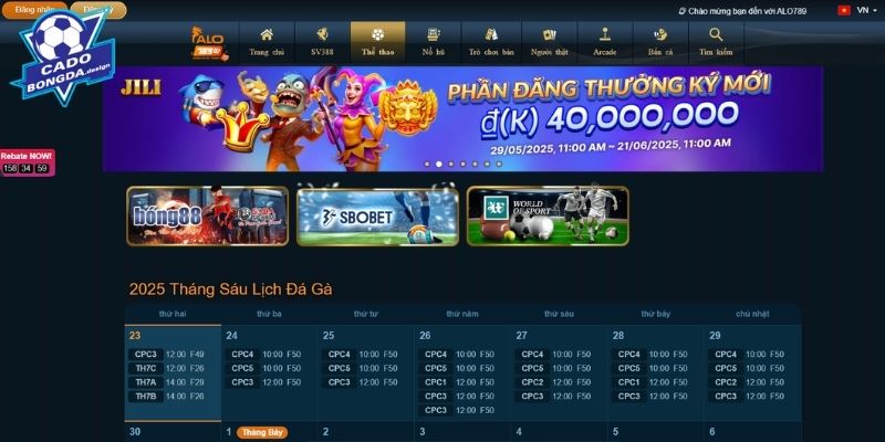 Thế giới cá cược thể thao toàn cầu phong phú