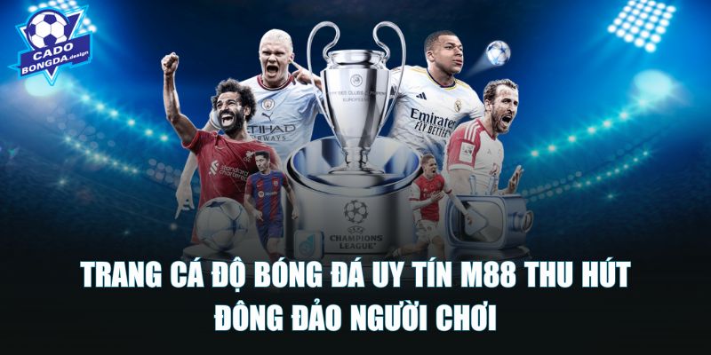 Trang cá độ bóng đá uy tín M88 thu hút đông đảo người chơi