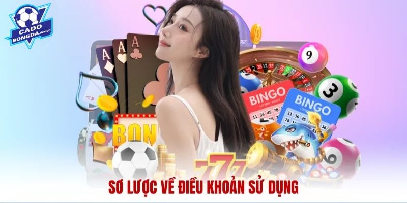 Cam kết của người dùng