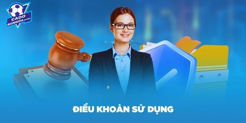 Điều khoản sử dụng về bình luận