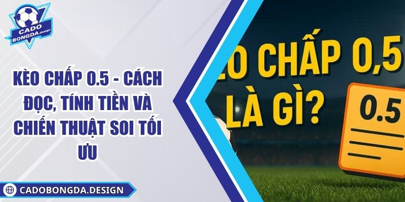 Kèo Chấp 0.5 - Cách Đọc, Tính Tiền Và Chiến Thuật Soi Tối Ưu