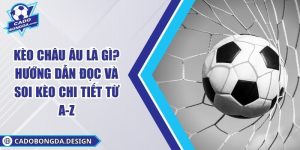 Kèo Châu Âu Là Gì? Hướng Dẫn Đọc Và Soi Kèo Chi Tiết Từ A-Z