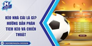 Kèo Nhà Cái Là Gì? Hướng Dẫn Phân Tích Kèo Và Chiến Thuật