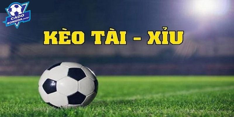 Loại hình tài xỉu hấp dẫn