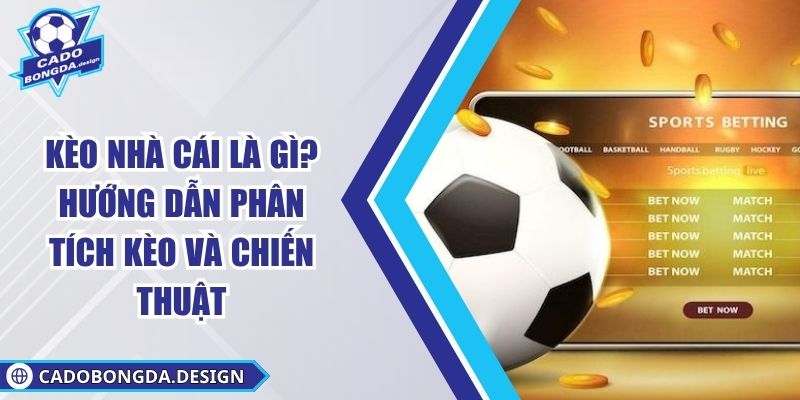 Kèo Nhà Cái Là Gì? Hướng Dẫn Phân Tích Kèo Và Chiến Thuật