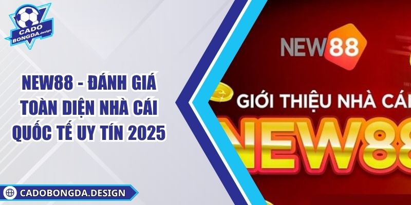 NEW88 - Đánh Giá Toàn Diện Nhà Cái Quốc Tế Uy Tín 2025