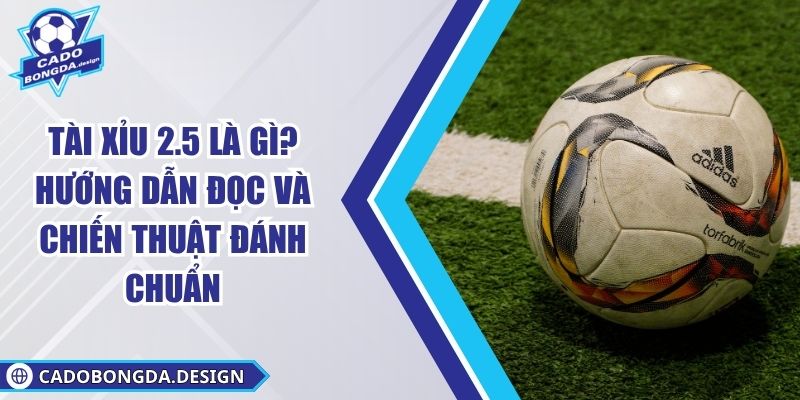 Tài Xỉu 2.5 Là Gì? Hướng Dẫn Đọc Và Chiến Thuật Đánh Chuẩn