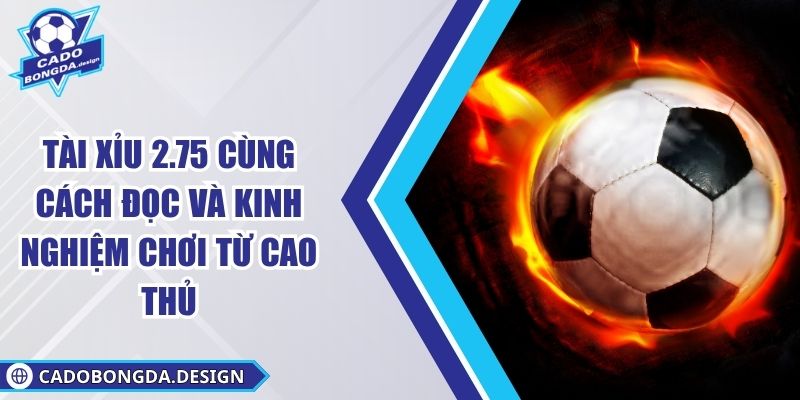 Tài Xỉu 2.75 Cùng Cách Đọc Và Kinh Nghiệm Chơi Từ Cao Thủ