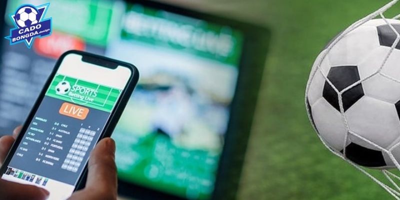 Giới thiệu chuyên mục tin tức cá độ